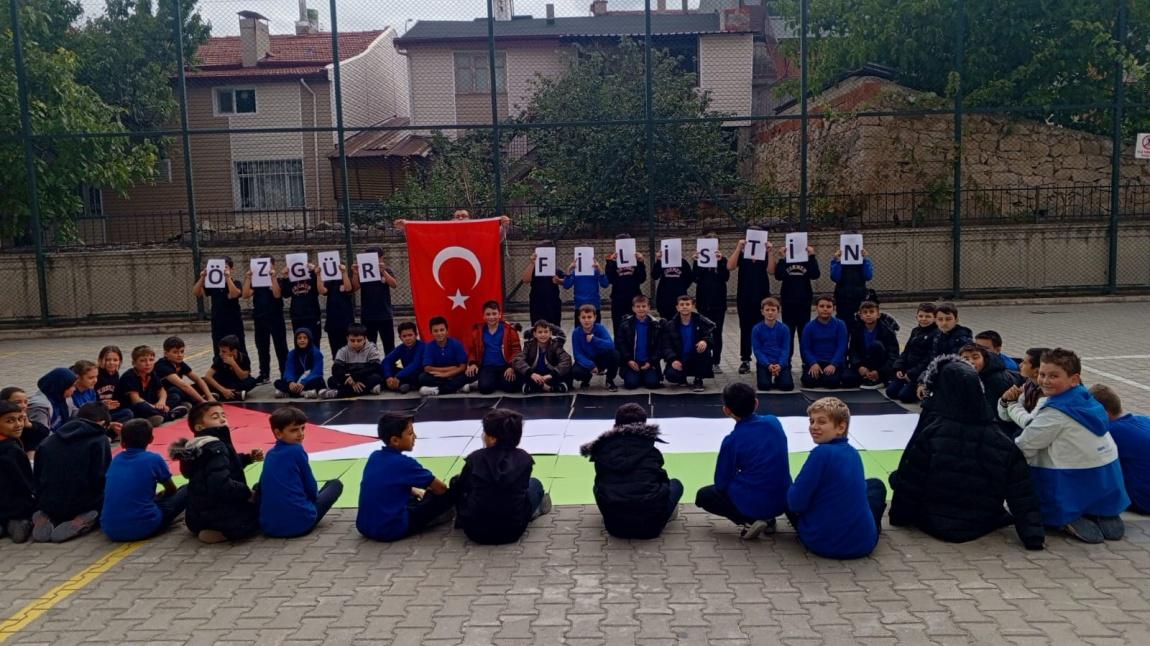 Filistin Farkındalık Faaliyetleri